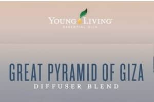 Great Pyramid of Giza Diffuser Blend