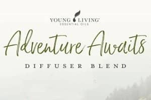 Adventure Awaits Diffuser Blend