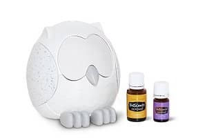 Featured Image_Snowy the Owl_300x200
