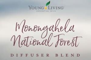 Monongahela National Forest Diffuser Blend