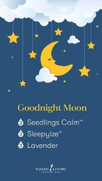 Goodngiht Moon Diffuser Blend