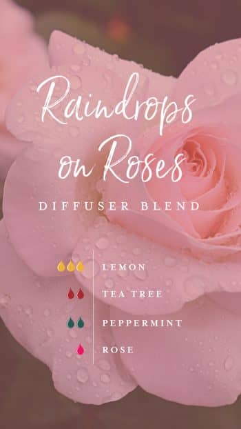 blog-Grab-some-vitamin-sea-with-these-9-water-inspired-diffuser-blends_Raindrops-on-Roses-Micrographic_US-e1555438106117