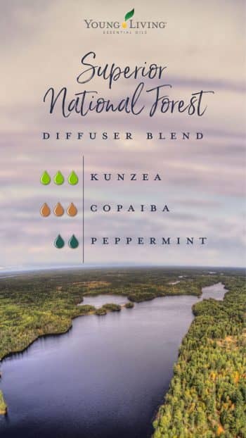 blog-10-essential-oil-diffuser-blends-inspired-by-U.S.-National-Forests_Superior-National-Forest-diffuser-blend_US-e1560285575867