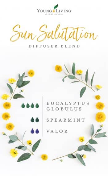 blog-How-to-use-Eucalyptus-essential-oil-from-head-to-toe_Sun-Salutation-Diffuser-Blend_US-e1587767715702