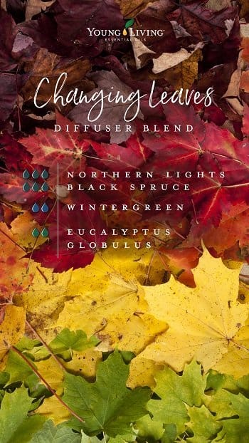 Blog_Fall-in-love-with-these-DIY-autumn-blends_Oct-2019-Reposts_Changing-leaves_Diffuser-Blend_US - Copy
