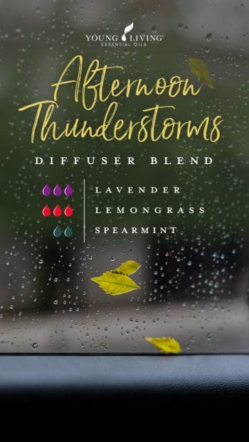 blog-8-diffuser-blends-for-any-Lavender-lover_Afternoon-Thunderstorms-Diffuser-Blend_US-e1591392767111