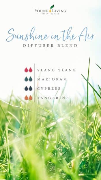 blog-7-ways-Marjoram-can-bring-joy-to-your-life_Sunshine-in-the-Air-Diffuser-Blend_US-e1569357378990