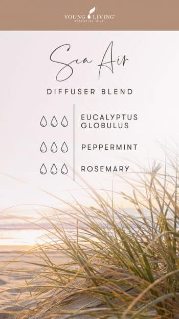 blog-Squeaky-clean-scents-7-diffuser-blends-to-fake-a-clean-house_Sea-Air-Diffuser-Blend_US-e1598023878348