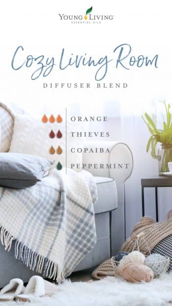 blog-8-diffuser-blends-you’ve-got-to-try-We-have-one-for-every-room_Cozy-Living-Room-diffuser-blend_US-e1562174523128