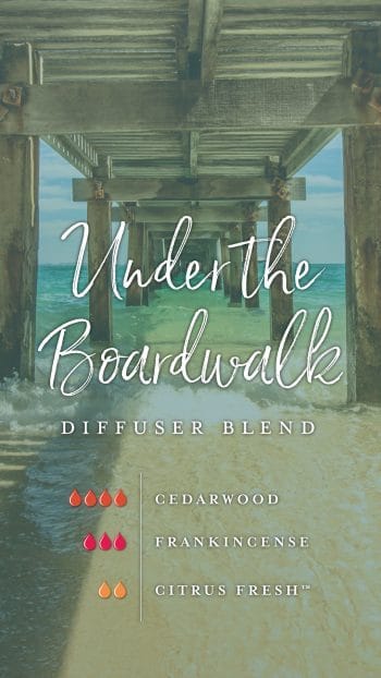 blog-Grab-some-vitamin-sea-with-these-9-water-inspired-diffuser-blends_Under-the-Boardwalk-Micrographic_US-e1555437863666