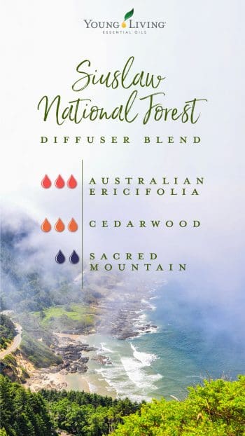 blog-10-essential-oil-diffuser-blends-inspired-by-U.S.-National-Forests_Siuslaw-National-Forest-diffuser-blend_US-e1560285092349