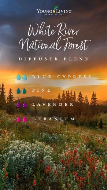 blog-10-essential-oil-diffuser-blends-inspired-by-U.S.-National-Forests_White-River-National-Forest-diffuser-blend_US-e1560287780271
