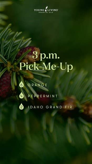 US-Blog_An-air-of-masculinity-Revamp_Diffuser-Blend-Card_3-p.m.-Pick-Me-Up_US - Copy