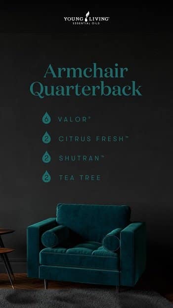US-Blog_An-air-of-masculinity-Revamp_Diffuser-Blend-Card_Armchair-Quarterback_US - Copy