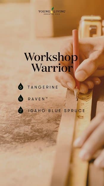 US-Blog_An-air-of-masculinity-Revamp_Diffuser-Blend-Card_Workshop-Warrior_US - Copy