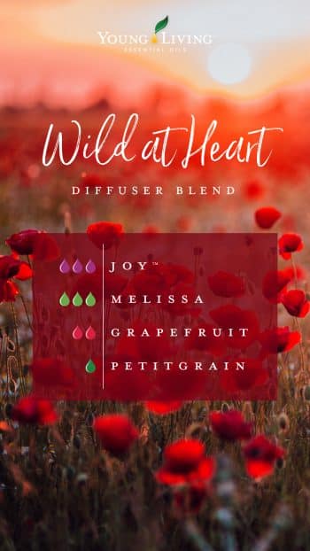blog-Romance-in-the-air-5-blends-you-have-to-try_Wild-at-Heart-Micrographic_US-e1549667946333