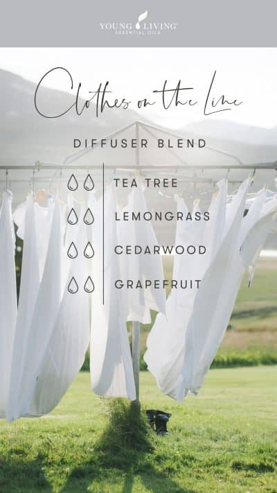 blog-Squeaky-clean-scents-7-diffuser-blends-to-fake-a-clean-house_Clothes-on-the-Line-Diffuser-Blend_US-400x711