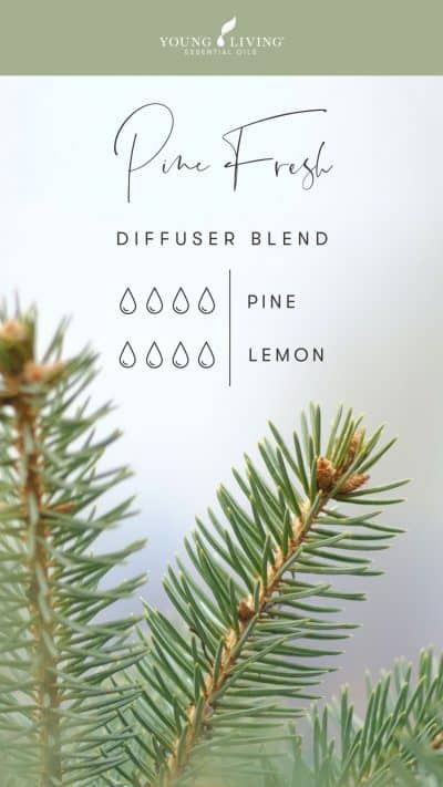 blog-Squeaky-clean-scents-7-diffuser-blends-to-fake-a-clean-house_Pine-Fresh-Diffuser-Blend_US-400x711