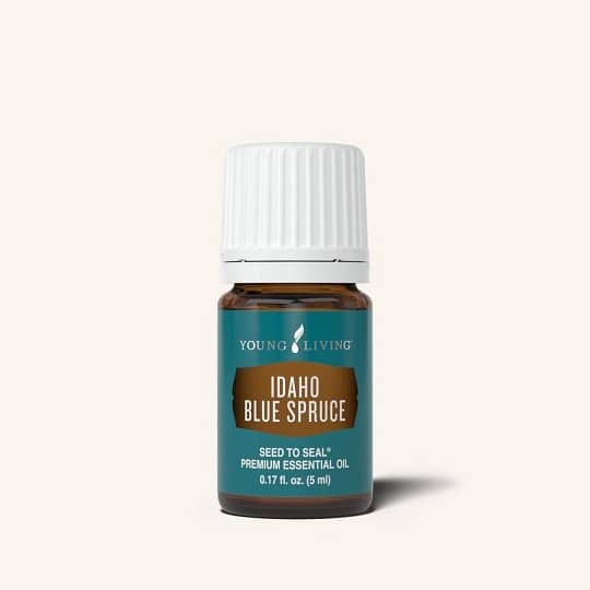 Idaho Blue Spruce Essential Oil bottle with woodsy evergreen scent