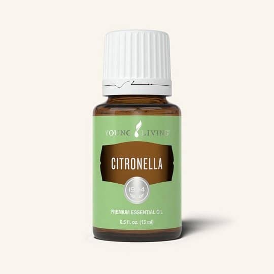 Citronella essential oil bottle for outdoor pest control