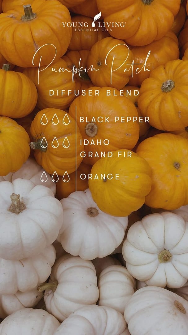 blog-Happy-Halloween-Party-with-7-spooktacular-scents_Pumpkin-Patch-Diffuser-Blend_US-scaled-e1603725124714