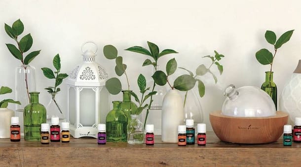 Get Up and Go Motivation Diffuser Blends